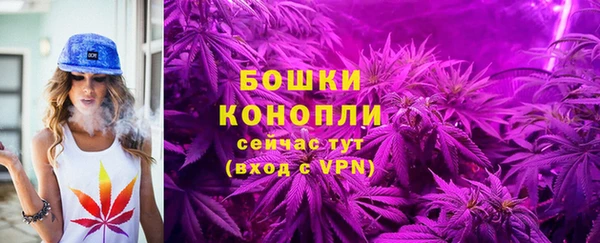МДПВ Няндома