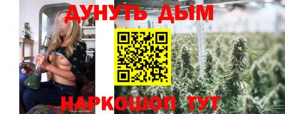 индика Шебекино