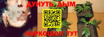 индика Шебекино