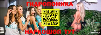 таблы Шелехов