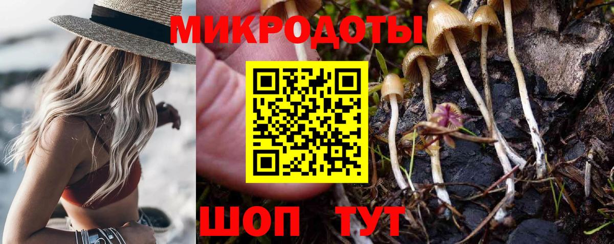 Галлюциногенные грибы Psilocybine cubensis Алатырь