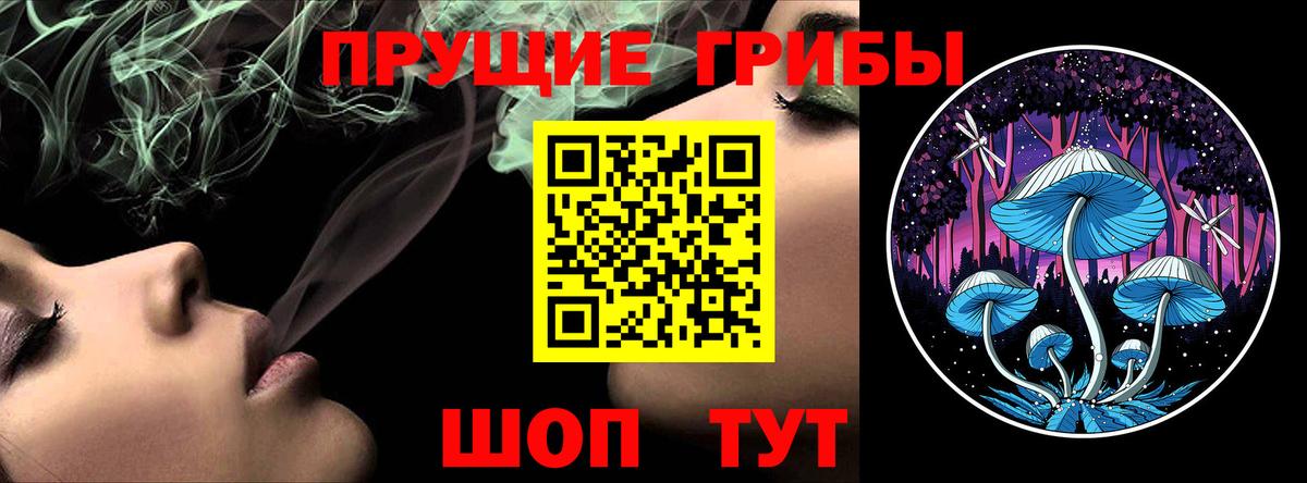 Алатырь  Псилоцибиновые грибы Psilocybe  Галлюциногенные грибы прущие грибы  Вход с VPN 