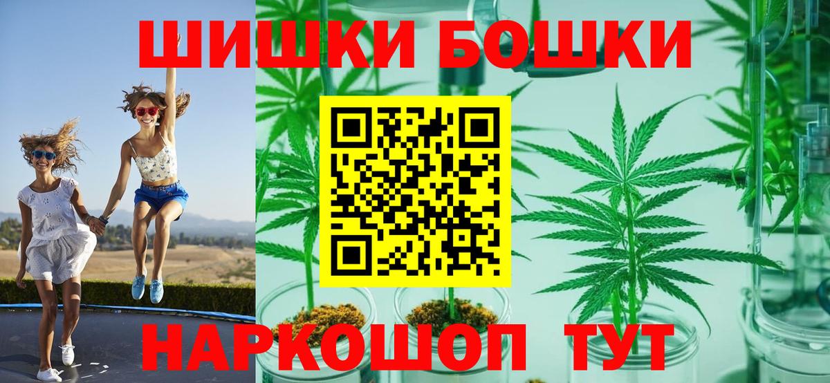 Конопля семена  Бошки марихуана планчик  Марихуана ГИДРОПОН  Алатырь  Вход с VPN 
